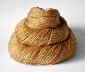 Keine Abbildung zugeordnet 